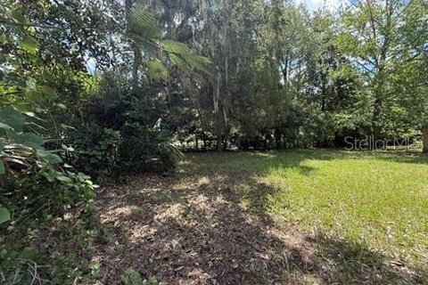 Land in Hawthorne, Florida № 2258673 - photo 10