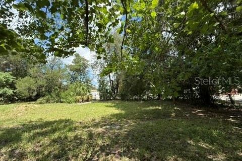 Land in Hawthorne, Florida № 2258673 - photo 3
