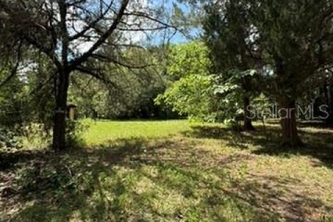 Land in Hawthorne, Florida № 2258673 - photo 2