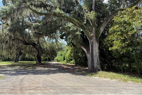 Land in Hawthorne, Florida № 2258673 - photo 11