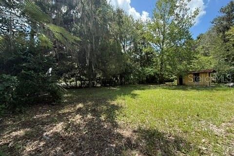 Land in Hawthorne, Florida № 2258673 - photo 6