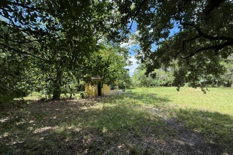 Land in Hawthorne, Florida № 2258673 - photo 7