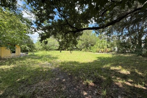 Land in Hawthorne, Florida № 2258673 - photo 8