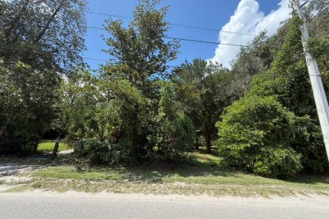 Land in Hawthorne, Florida № 2258673 - photo 25