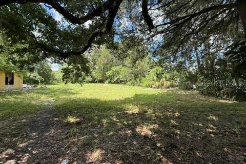 Land in Hawthorne, Florida № 2258673 - photo 4