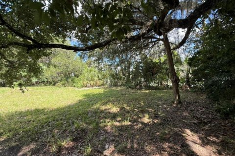 Land in Hawthorne, Florida № 2258673 - photo 13