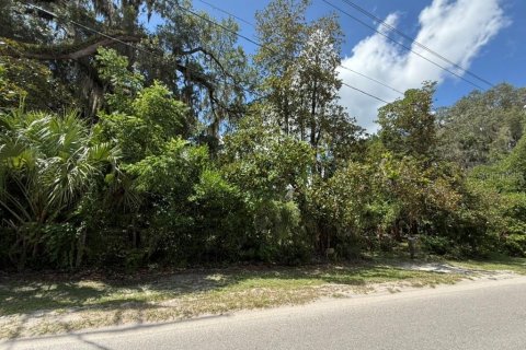 Land in Hawthorne, Florida № 2258673 - photo 12