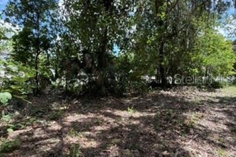 Land in Hawthorne, Florida № 2258673 - photo 18