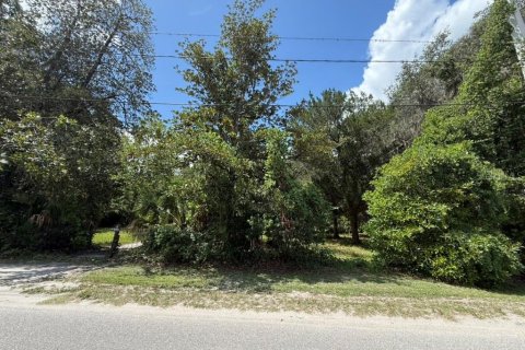 Land in Hawthorne, Florida № 2258673 - photo 26