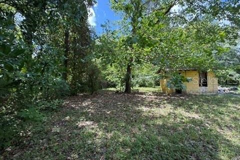 Land in Hawthorne, Florida № 2258673 - photo 9