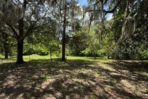 Land in Hawthorne, Florida № 2258673 - photo 22
