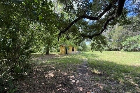Land in Hawthorne, Florida № 2258673 - photo 5