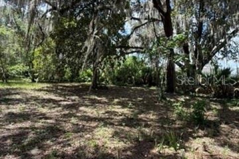 Land in Hawthorne, Florida № 2258673 - photo 23