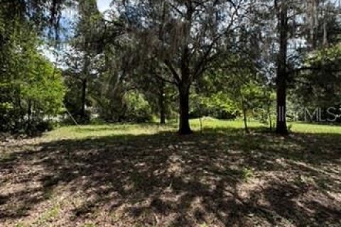 Land in Hawthorne, Florida № 2258673 - photo 20