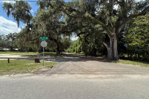 Land in Hawthorne, Florida № 2258673 - photo 14