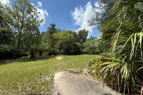 Land in Hawthorne, Florida № 2258673 - photo 15
