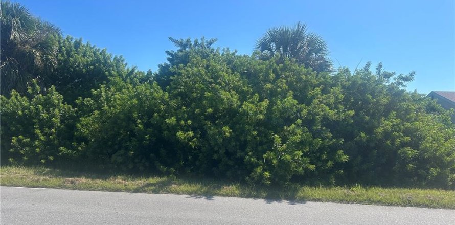 Terrain à Port Charlotte, Floride № 1900281