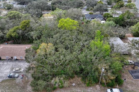 Land in Spring Hill, Florida № 1888616 - photo 10