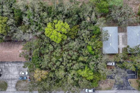 Land in Spring Hill, Florida № 1888616 - photo 8