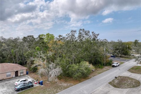 Land in Spring Hill, Florida № 1888616 - photo 12