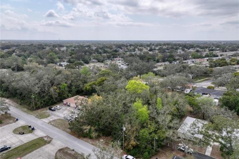 Land in Spring Hill, Florida № 1888616 - photo 3