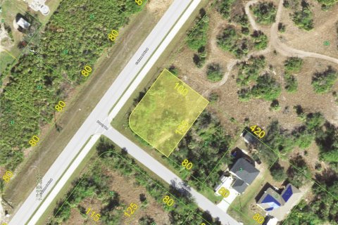 Land in Port Charlotte, Florida № 2215576