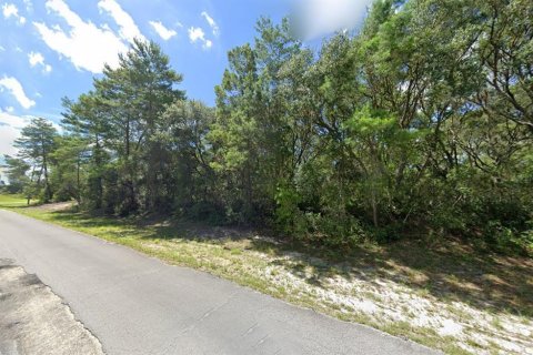 Land in Ocala, Florida № 1613599 - photo 1