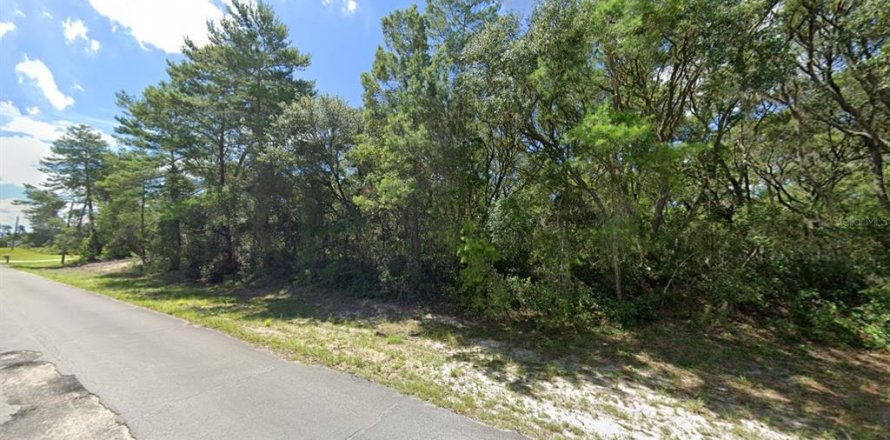 Land in Ocala, Florida № 1613599