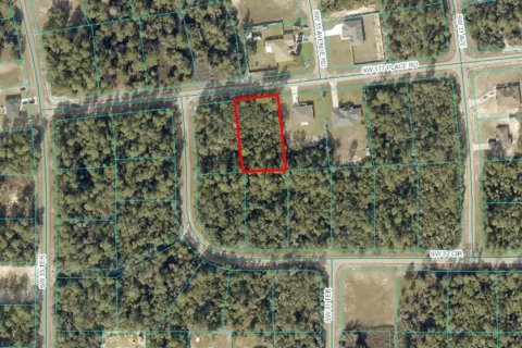 Land in Ocala, Florida № 1613599 - photo 2