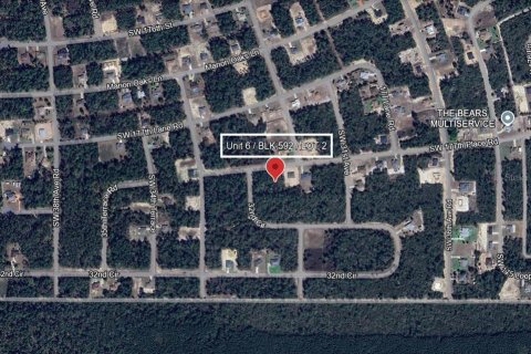 Land in Ocala, Florida № 1613599 - photo 3