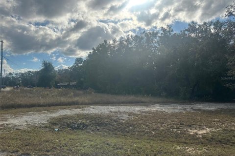 Land in Ocklawaha, Florida № 2159454 - photo 8