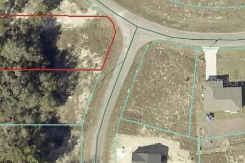 Land in Ocklawaha, Florida № 2159454 - photo 2