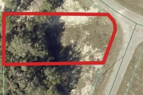 Land in Ocklawaha, Florida № 2159454