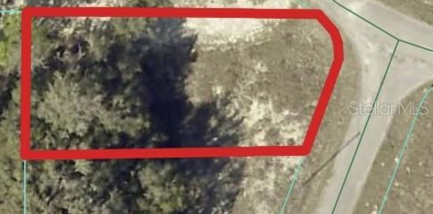 Land in Ocklawaha, Florida № 2159454