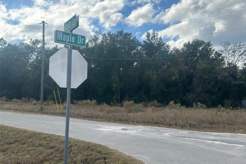 Land in Ocklawaha, Florida № 2159454 - photo 9