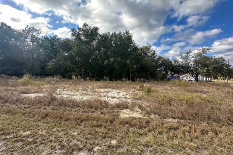 Land in Ocklawaha, Florida № 2159454 - photo 3