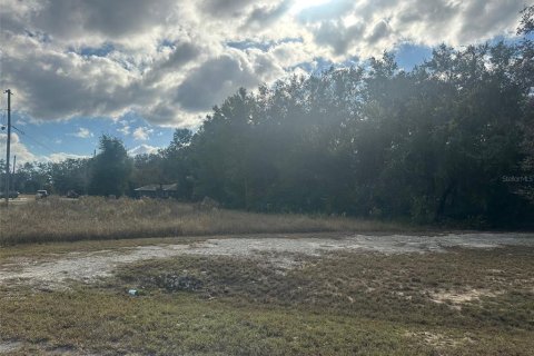 Land in Ocklawaha, Florida № 2159454 - photo 7