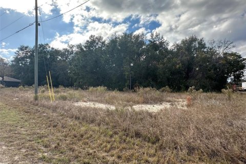 Land in Ocklawaha, Florida № 2159454 - photo 4