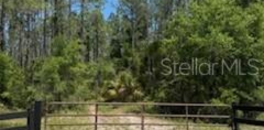 Terrain à Old Town, Floride № 2230053