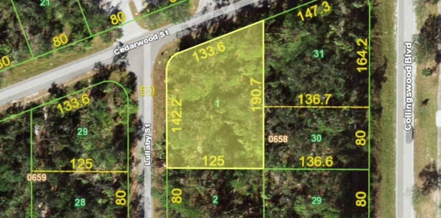 Land in Port Charlotte, Florida № 2106007