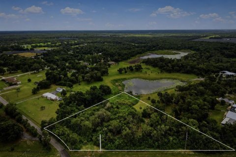 Terrain à vendre à DeLand, Floride № 2206913 - photo 5