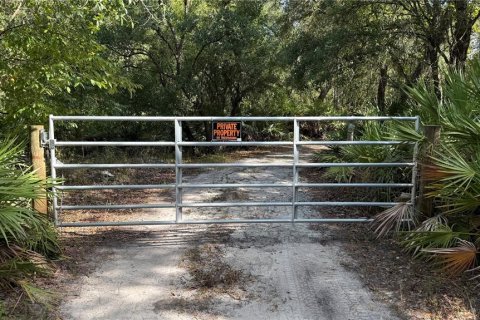 House in Arcadia, Florida 2 bedrooms, 63.82 sq.m. № 1885299 - photo 2