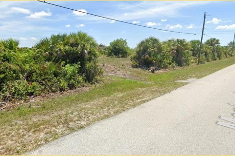 Land in Port Charlotte, Florida № 1564972 - photo 4