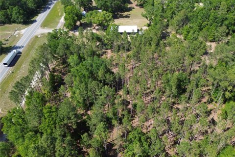 Terreno en venta en High Springs, Florida № 1651390 - foto 9