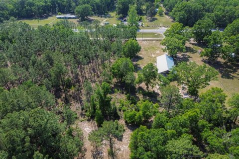 Terreno en venta en High Springs, Florida № 1651390 - foto 12