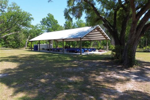 Terreno en venta en High Springs, Florida № 1651390 - foto 4