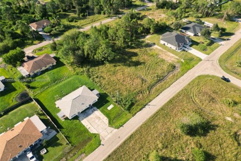 Land in Fort Myers, Florida № 1954452 - photo 4