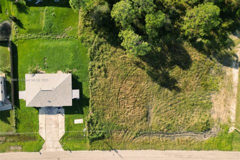 Land in Fort Myers, Florida № 1954452 - photo 2
