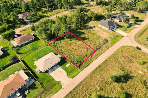 Land in Fort Myers, Florida № 1954452 - photo 3