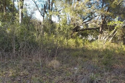Land in Summerfield, Florida № 2403432